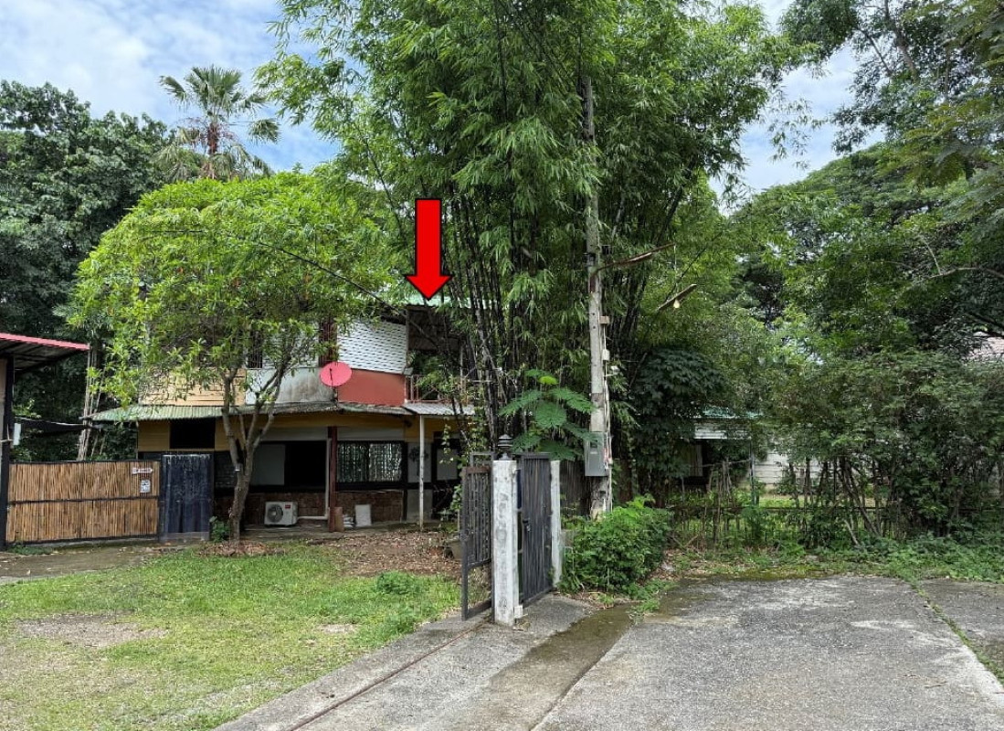 บ้านเดี่ยว เชียงใหม่ เมืองเชียงใหม่ สันผีเสื้อ 5234340