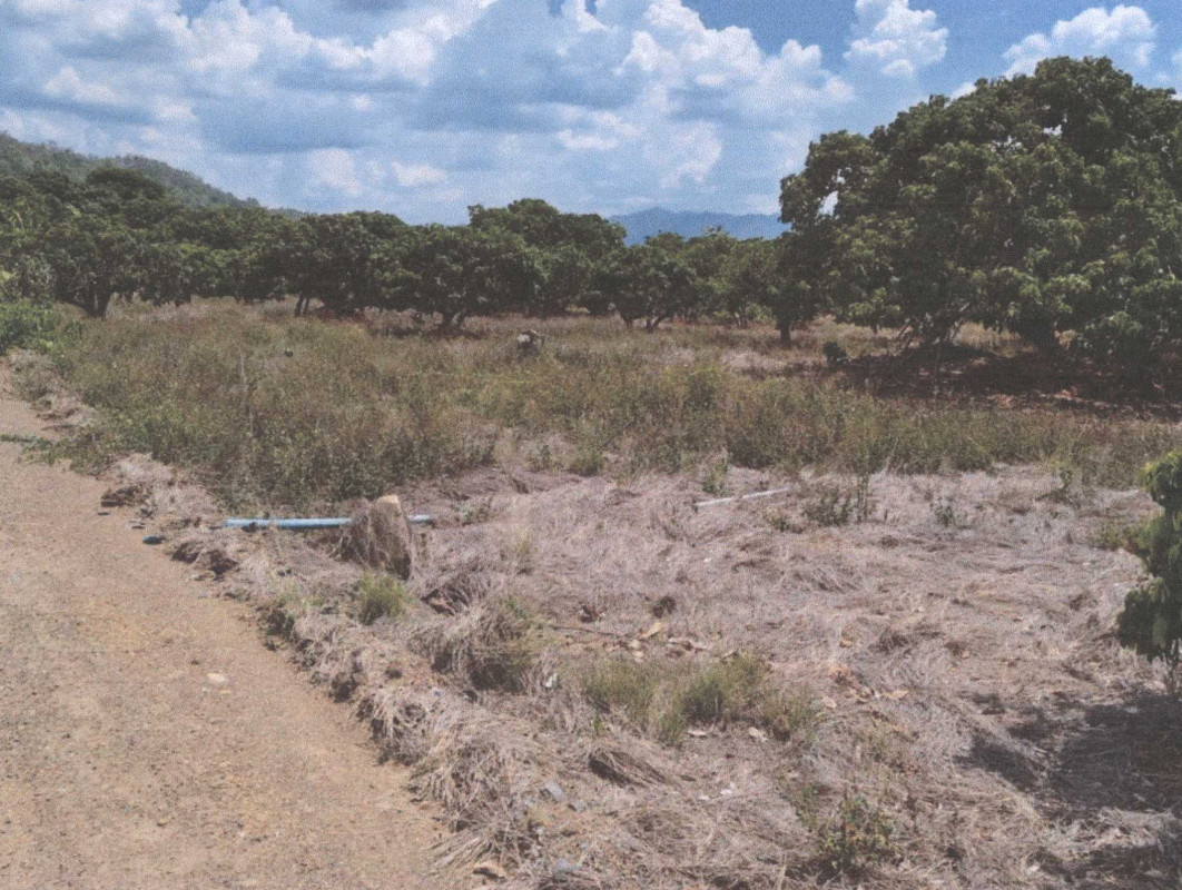 ที่ดินเปล่า เชียงใหม่ ดอยเต่า โปงทุ่ง 219000