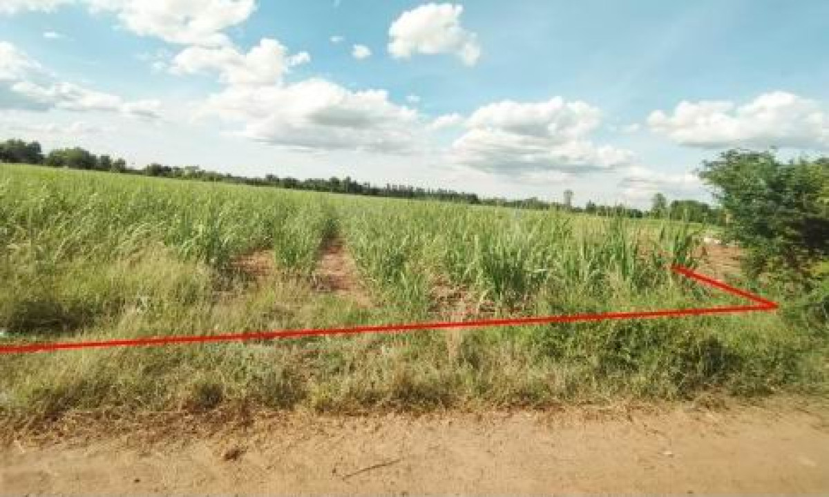 ที่ดินเปล่า ชัยภูมิ ภูเขียว บ้านดอน 429000