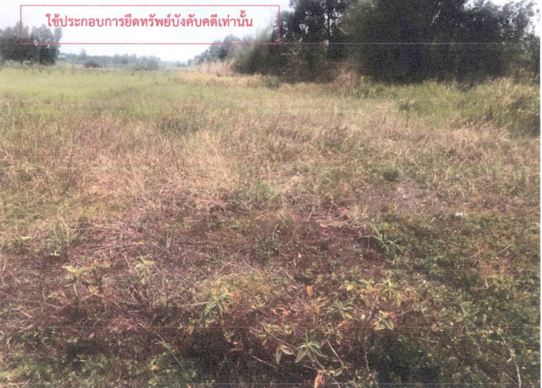 Residential land/lot Kalasin Somdet Nong Waeng 151000