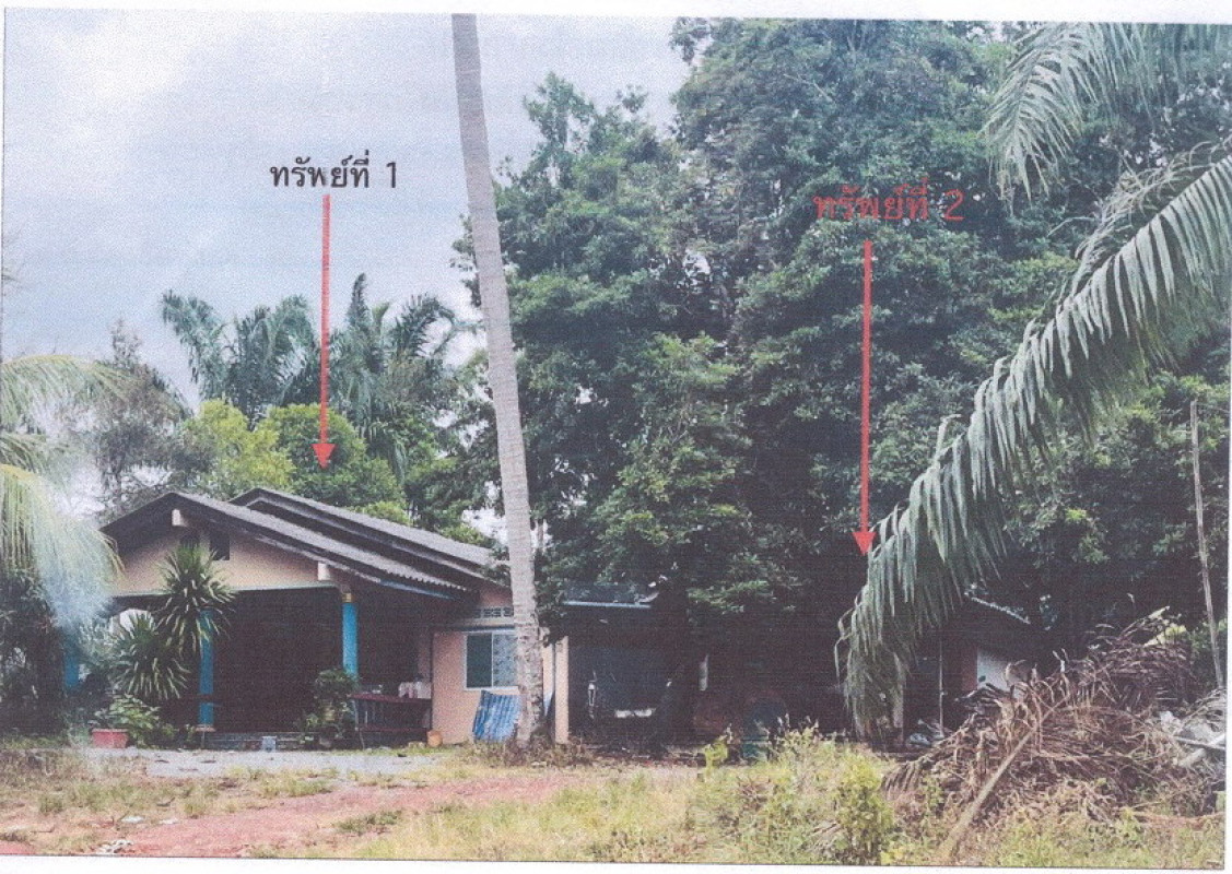 บ้านเดี่ยว นครศรีธรรมราช บางขัน วังหิน 2052834