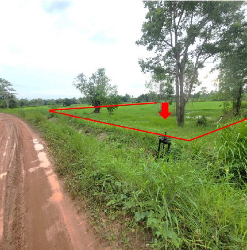 Residential land/lot Kalasin Don Chan Muang Na 1150000