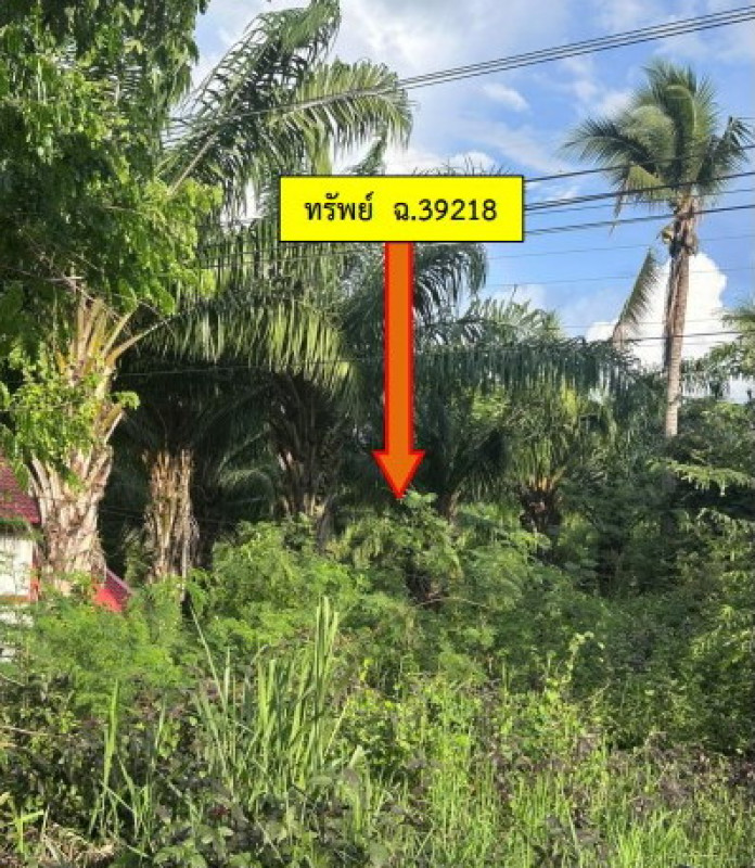 Residential land/lot Kalasin Somdet Pha Sawoei 100000