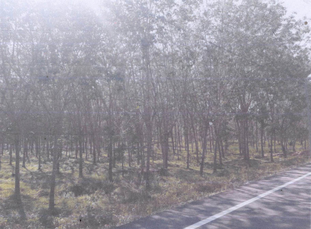 Residential land/lot Songkhla Thepha Sa Kom 1170720