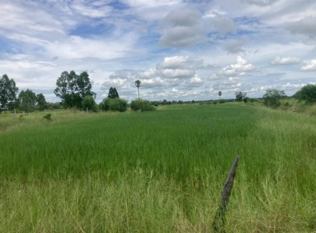 ที่ดินเปล่า ขอนแก่น บ้านไผ่ เมืองเพีย 727236