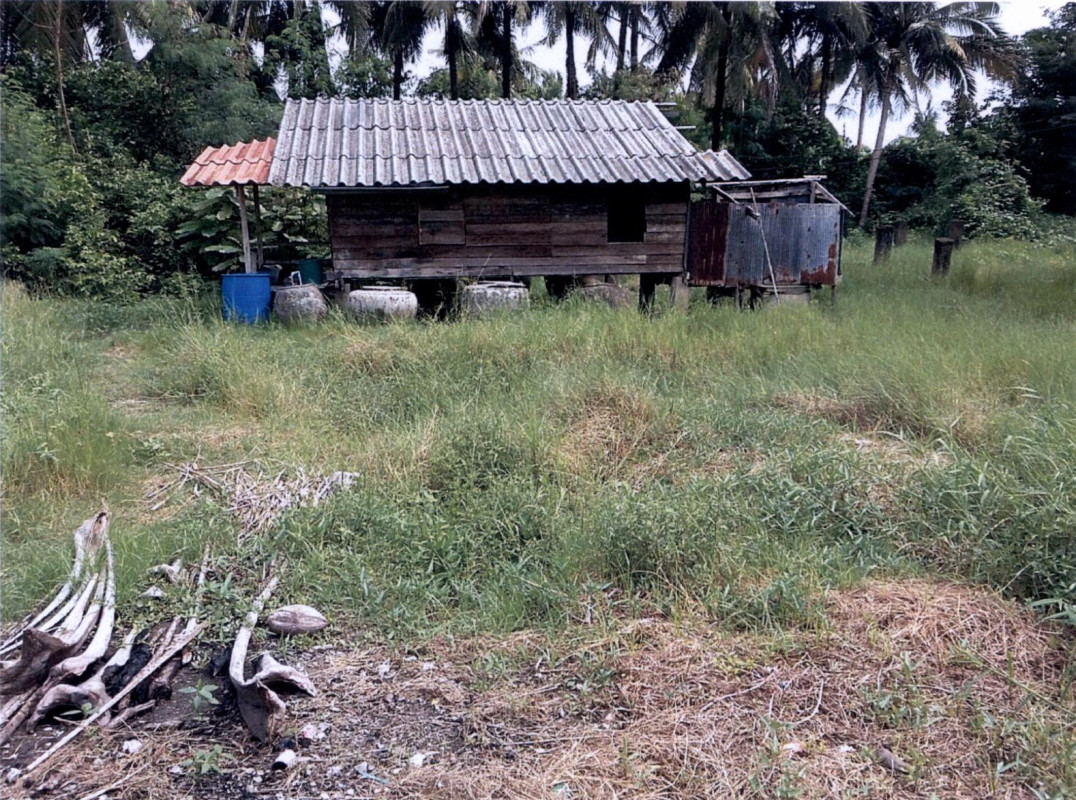 บ้านเดี่ยว นครศรีธรรมราช หัวไทร ท่าซอม 242950