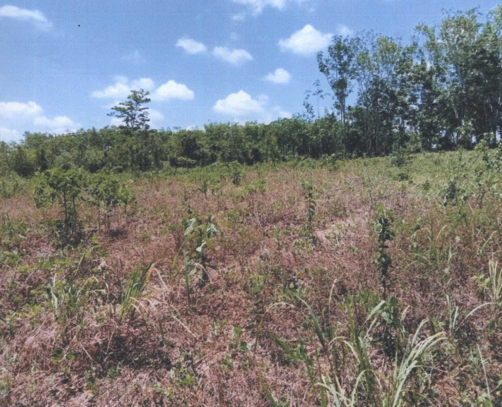 ที่ดินเปล่า นครศรีธรรมราช ทุ่งใหญ่ ทุ่งใหญ่ 876920