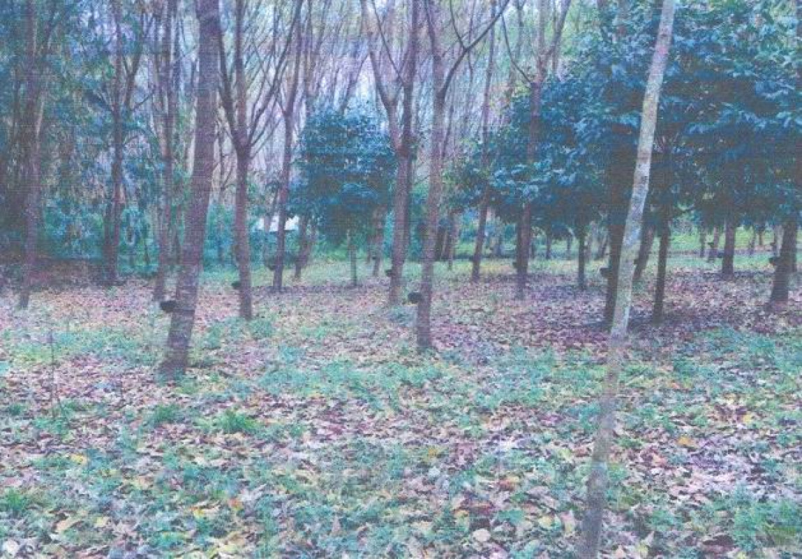 Residential land/lot Nakhon Si Thammarat Chulabhorn Sam Tambon 139500
