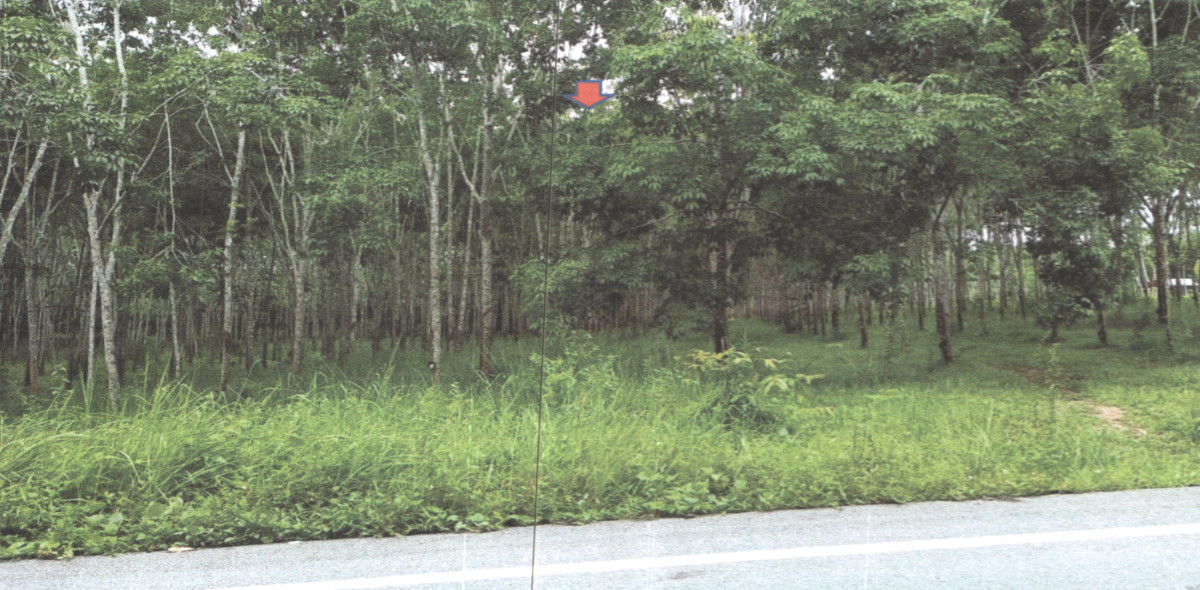 Residential land/lot Phatthalung Si Banphot Khao Ya 2579840