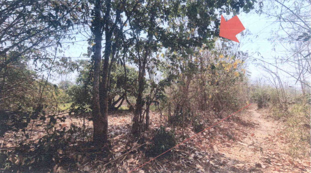 Residential land/lot Lamphun Mae Tha Tha Thung Luang 743000