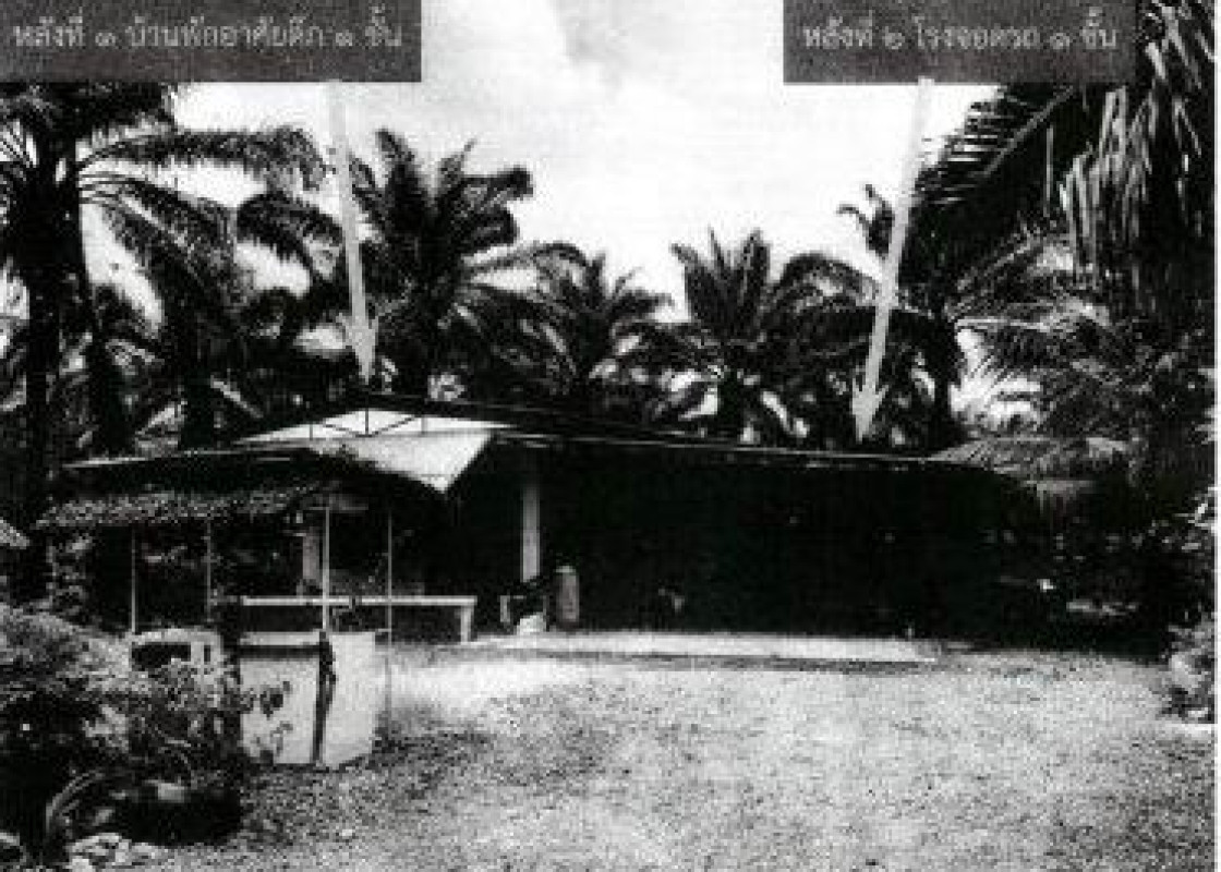 บ้านเดี่ยว สุราษฎร์ธานี ท่าฉาง คลองไทร 294560