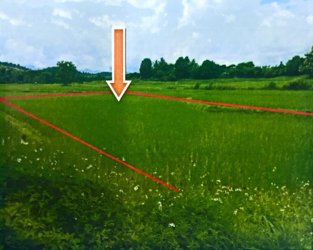 Residential land/lot Lamphun Li Dong Dam 96600