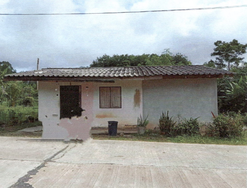 บ้านเดี่ยว กระบี่ เขาพนม เขาพนม 390810