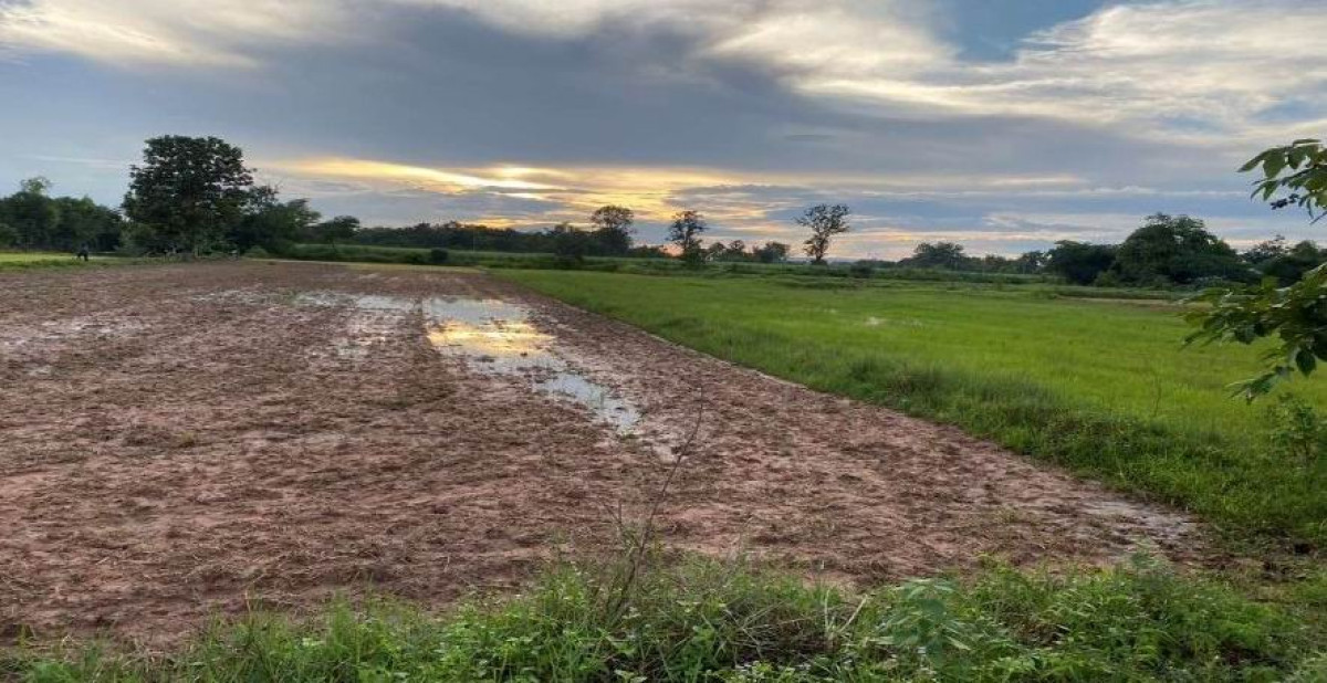 ที่ดินเปล่า ขอนแก่น เมืองขอนแก่น บ้านค้อ 729680