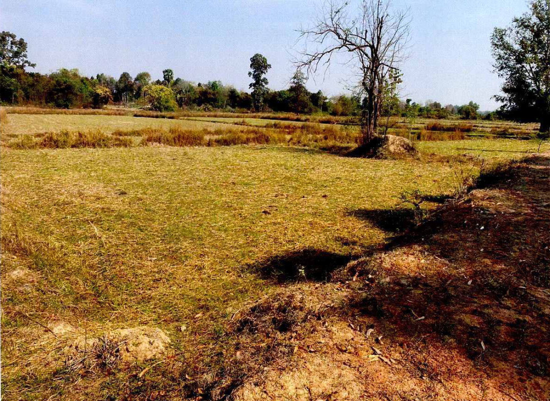 ที่ดินเปล่า หนองคาย เมืองหนองคาย โพธิ์ชัย 316000