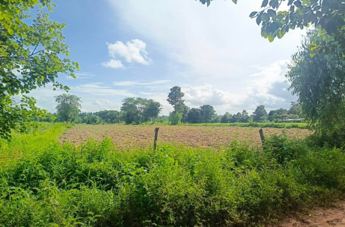 ที่ดินเปล่า ขอนแก่น เมืองขอนแก่น ดอนช้าง 1160000