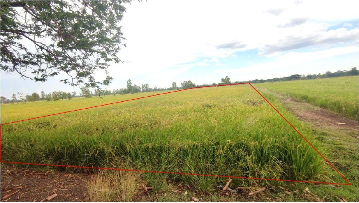 ที่ดินเปล่า ขอนแก่น น้ำพอง ท่ากระเสริม 320099