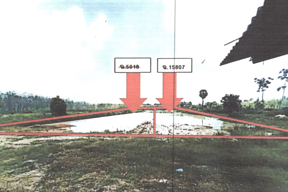 ที่ดินเปล่า พัทลุง ควนขนุน ปันแต 321354