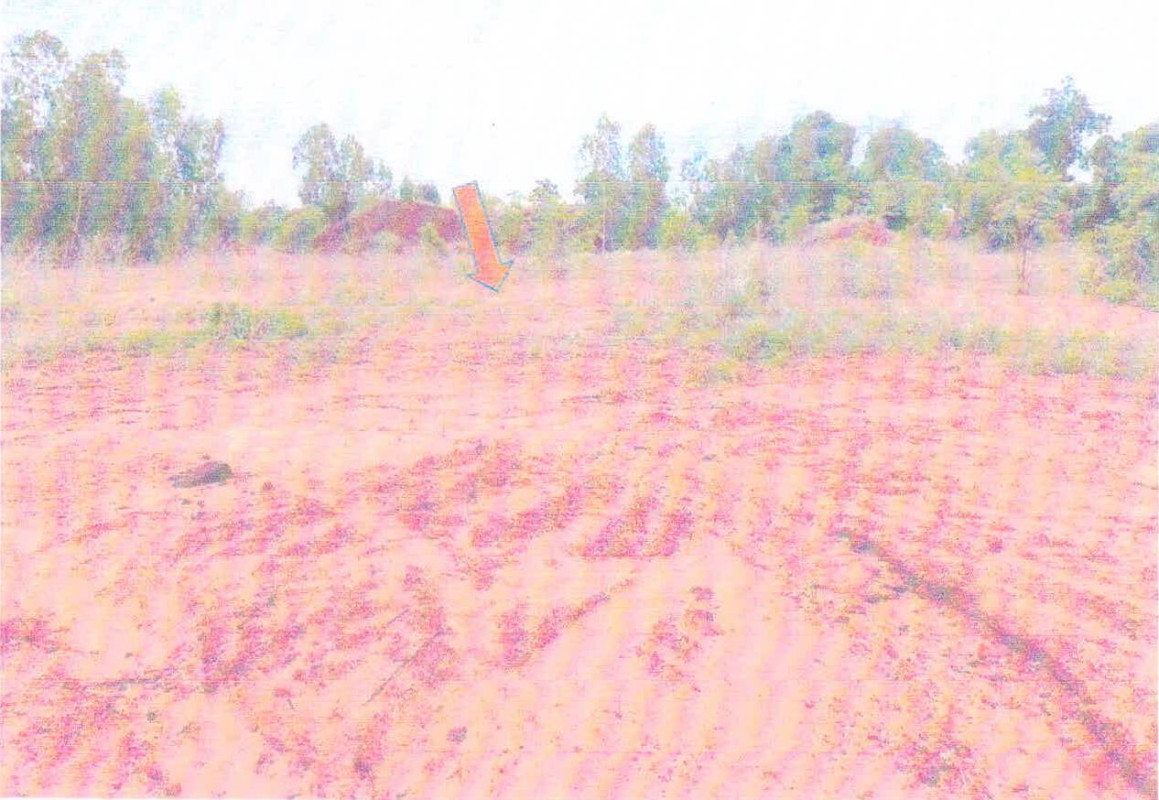 ที่ดินเปล่า ชัยภูมิ เนินสง่า กะฮาด 406000