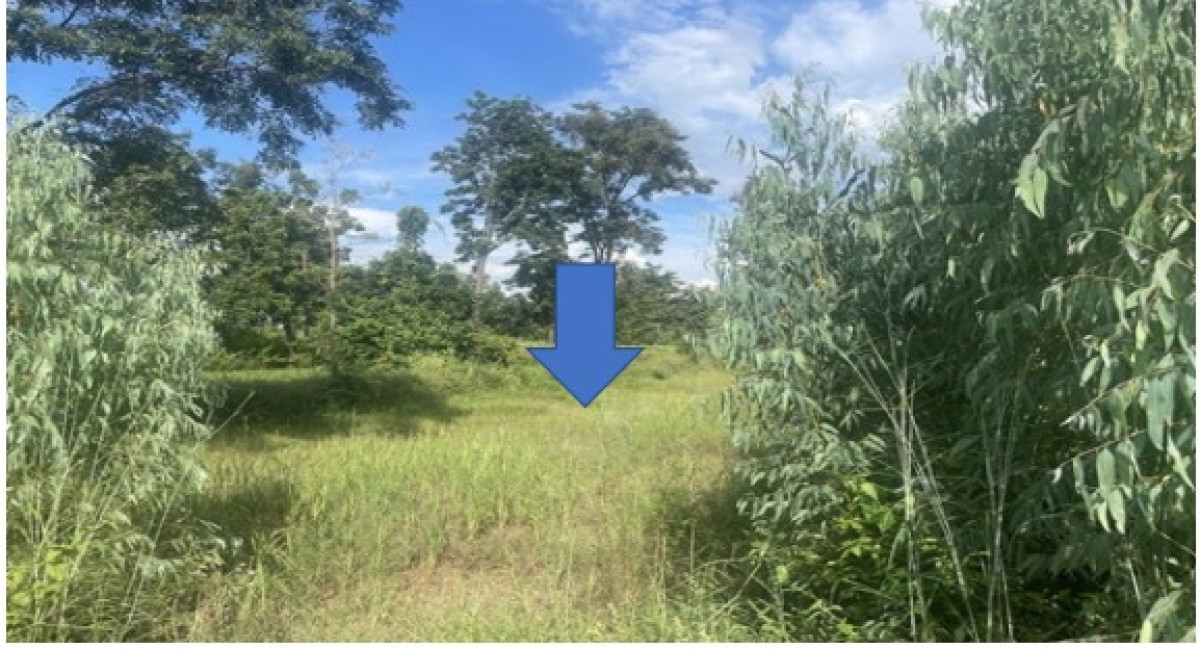 ที่ดินเปล่า ขอนแก่น พล หนองแวงนางเบ้า 558000