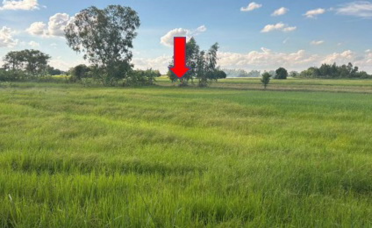 ที่ดินเปล่า กาฬสินธุ์ สามชัย หนองช้าง 750000