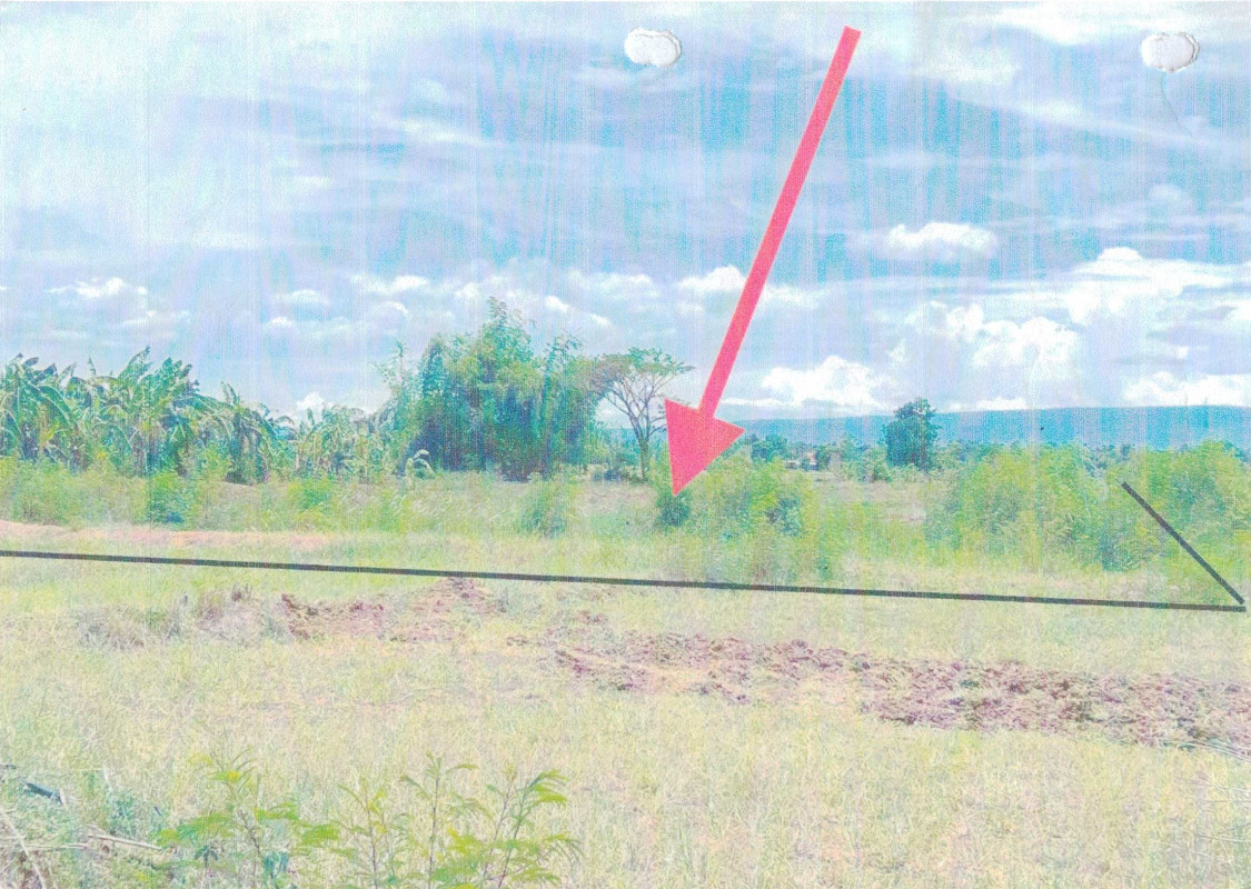 ที่ดินเปล่า ชัยภูมิ เมืองชัยภูมิ นาฝาย 69900