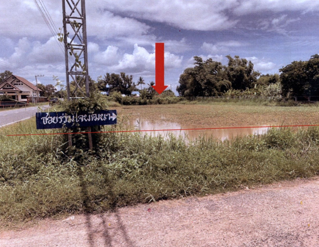 ที่ดินเปล่า สุรินทร์ ท่าตูม เมืองแก 241000