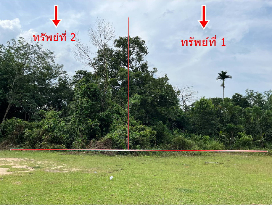 ที่ดินเปล่า นราธิวาส ยี่งอ จอเบาะ 17480