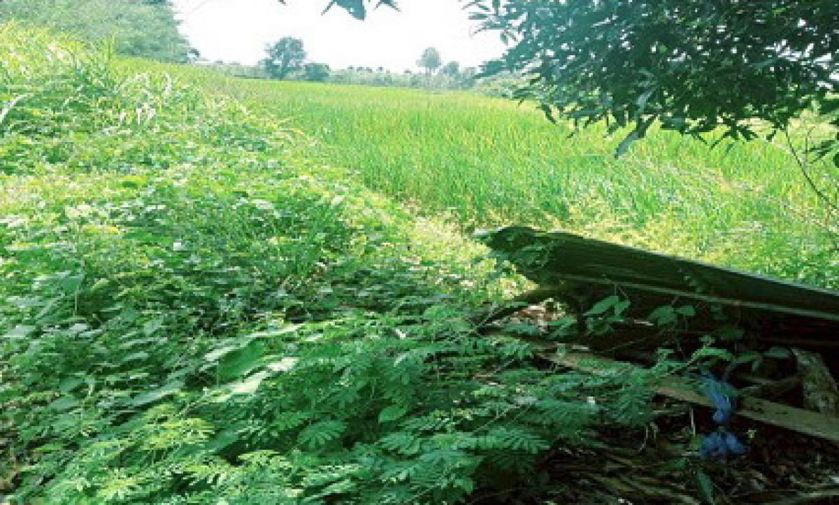 ที่ดินเปล่า สระแก้ว เมืองสระแก้ว ท่าเกษม 225000