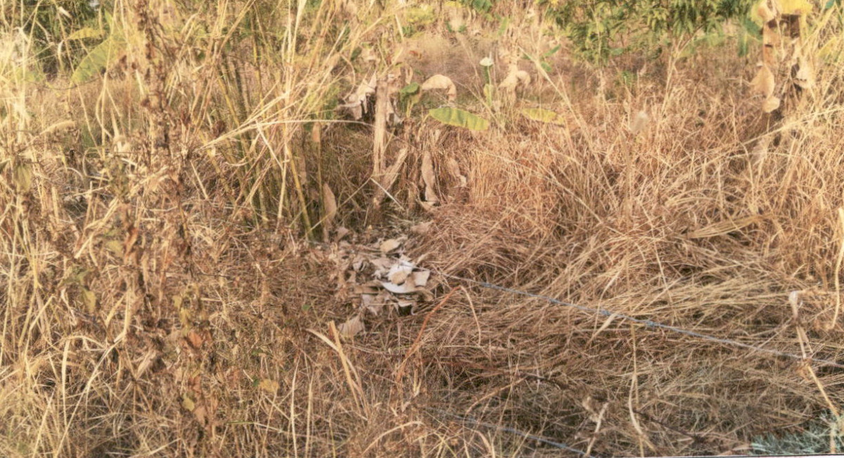 ที่ดินเปล่า กาฬสินธุ์ นามน นามน 160000