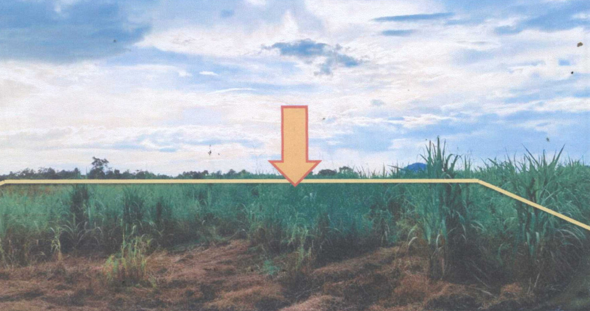 ที่ดินเปล่า นครสวรรค์ ตาคลี ตาคลี 200000