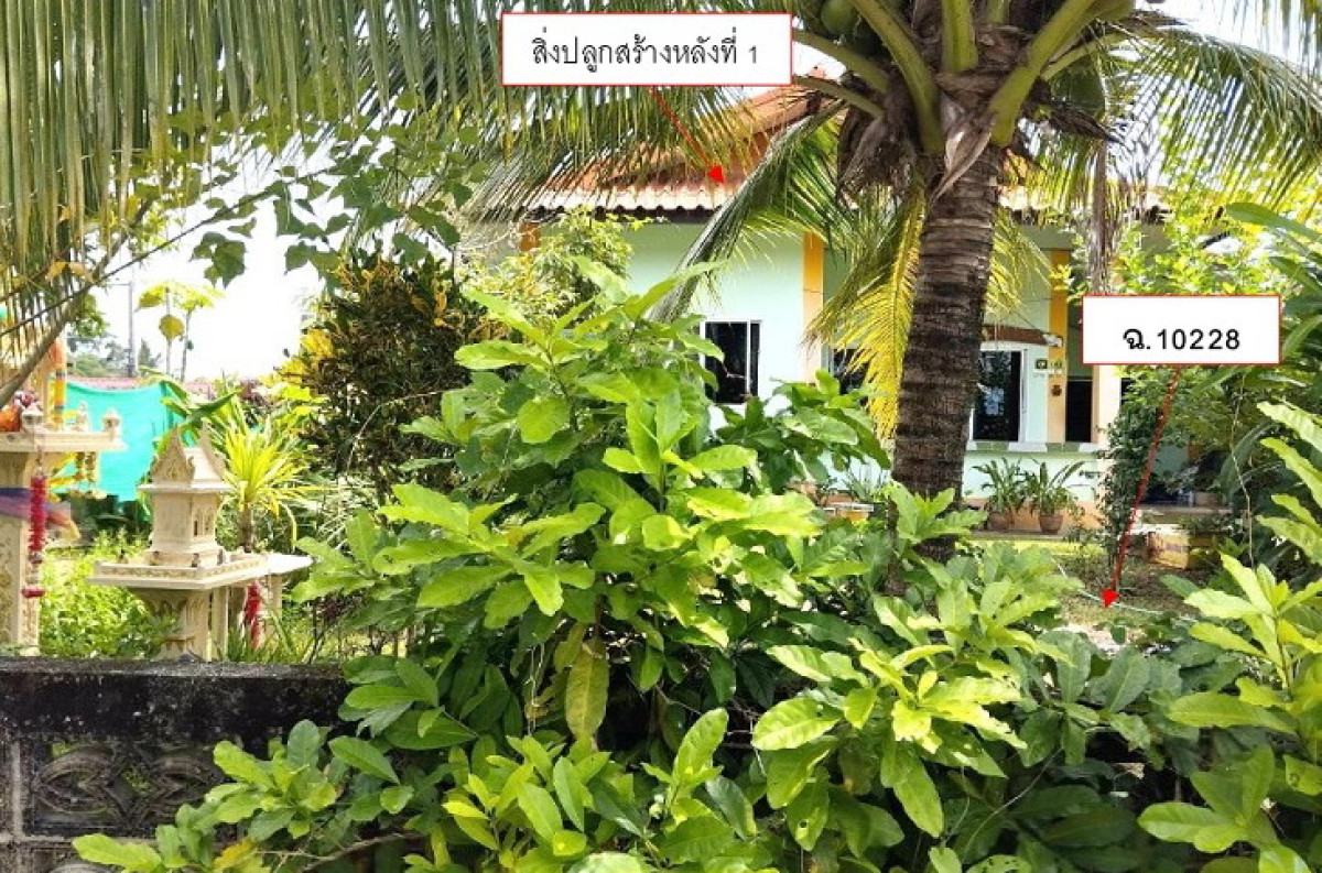 บ้านเดี่ยว พะเยา ดอกคำใต้ คือเวียง 545240