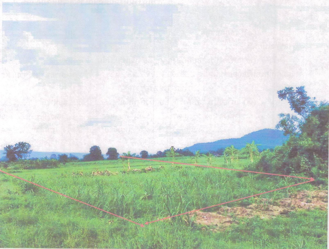 Residential land/lot Chaiyaphum Ban Khwao Chi Bon 97224