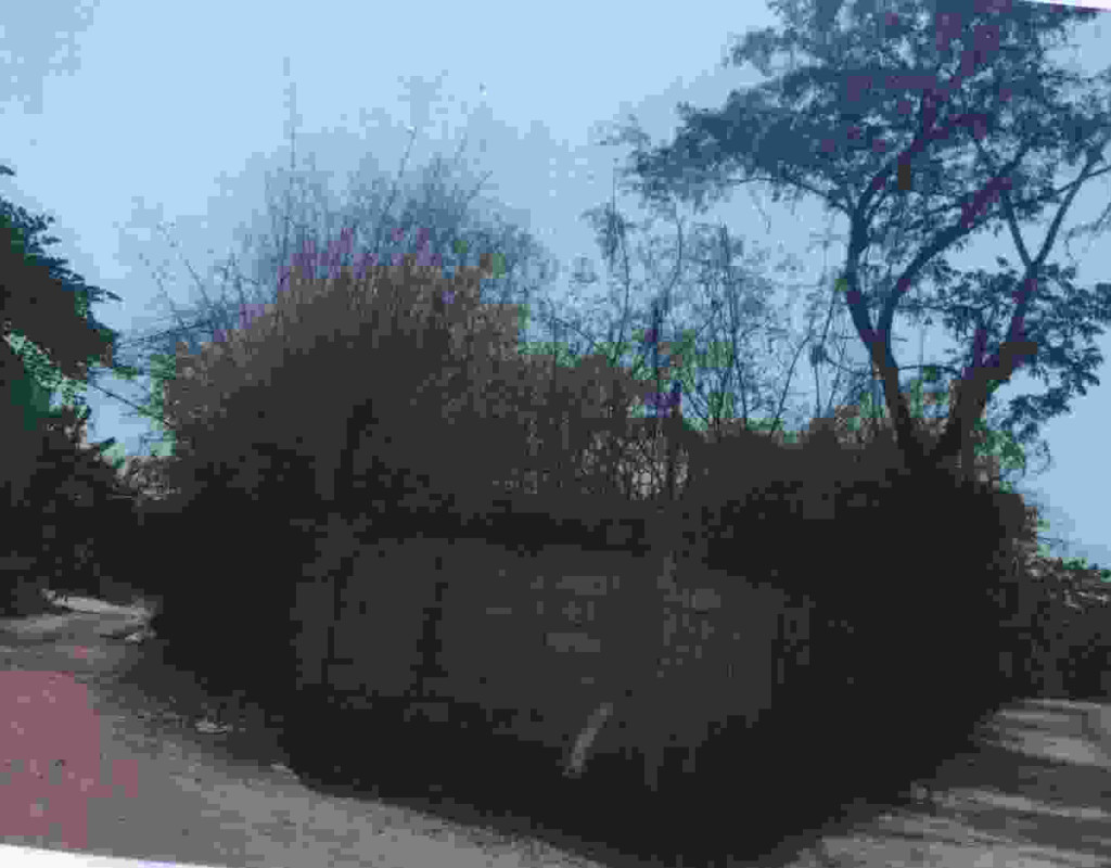 Residential land/lot Nakhon Ratchasima Mueang Nakhon Ratchasima Cho Ho 1085800