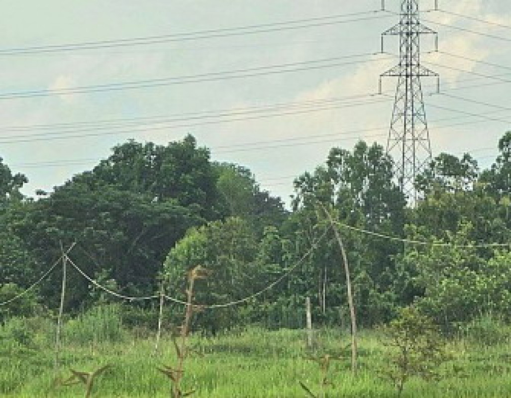 Residential land/lot Khon Kaen Phon Phek Yai 204000