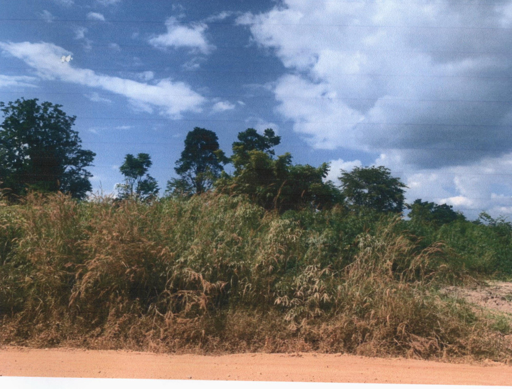 ที่ดินเปล่า เชียงใหม่ ดอยเต่า บงตัน 945250