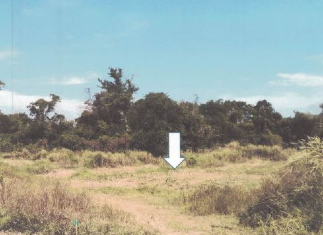 ที่ดินเปล่า อุบลราชธานี ทุ่งศรีอุดม หนองอ้ม 361440