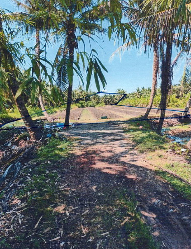 ที่ดินเปล่า ราชบุรี วัดเพลง เกาะศาลพระ 733260