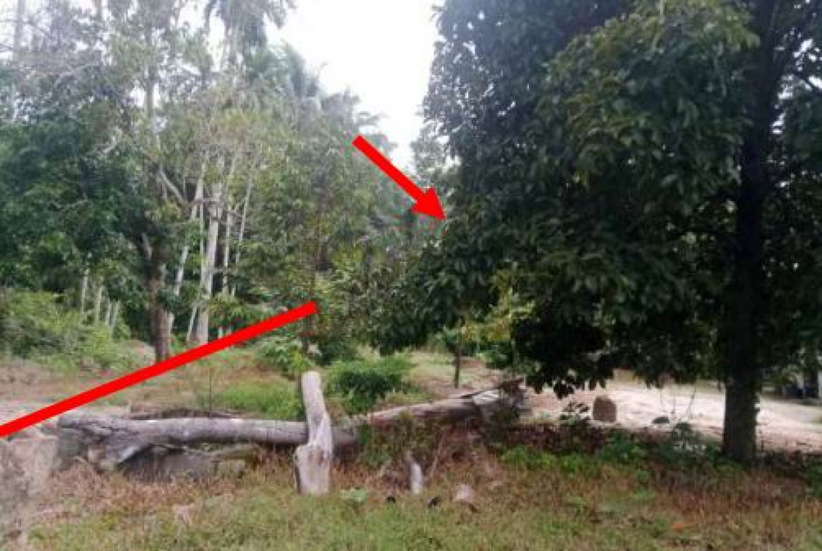 ที่ดินเปล่า นครศรีธรรมราช ท่าศาลา ท่าขึ้น 62430