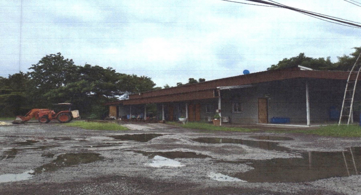 บ้านเดี่ยว สระบุรี วังม่วง วังม่วง 3099420