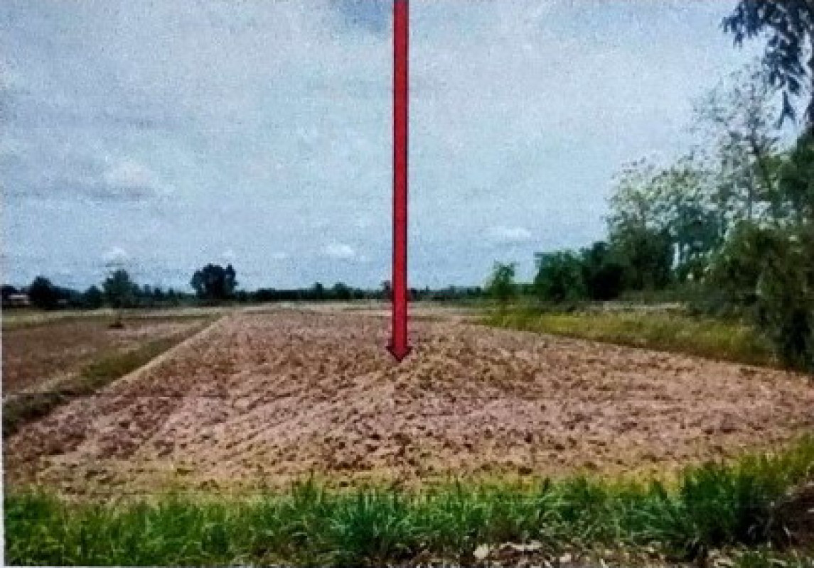 ที่ดินเปล่า กาฬสินธุ์ ห้วยผึ้ง นิคมห้วยผึ้ง 2171000