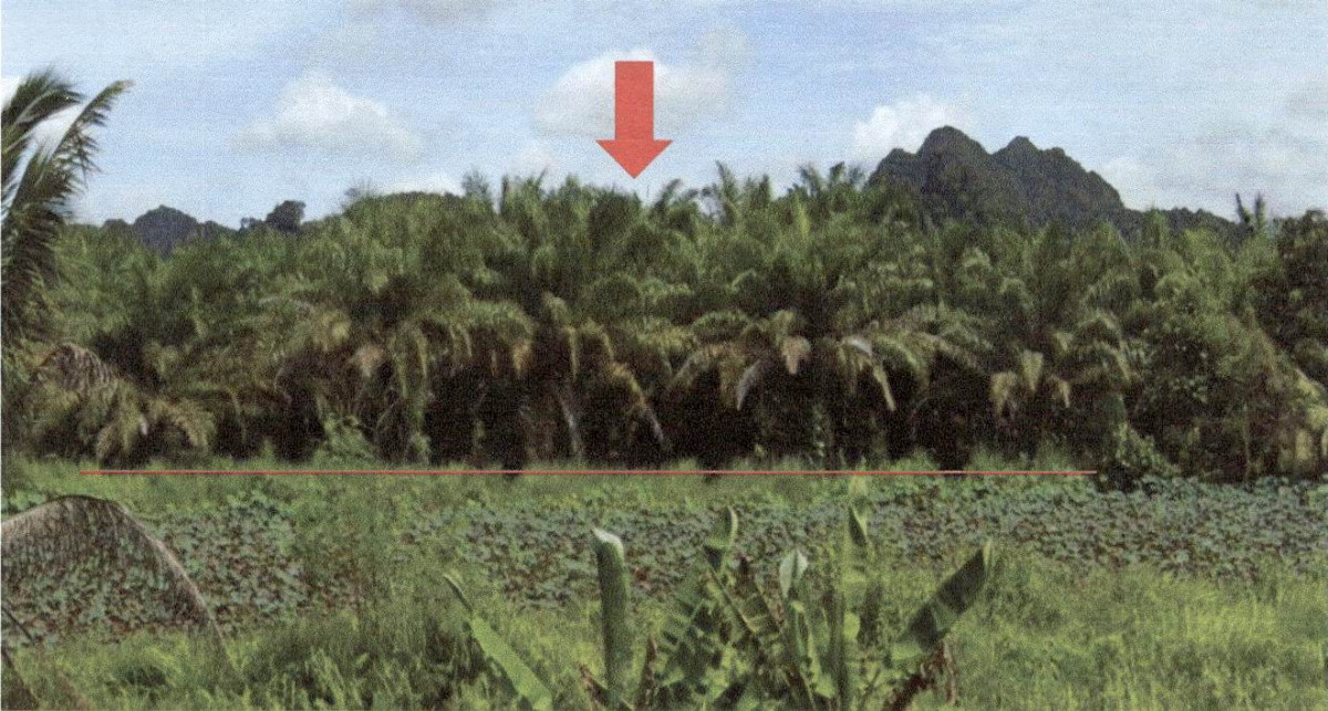 ที่ดินเปล่า กระบี่ ปลายพระยา ปลายพระยา 400400