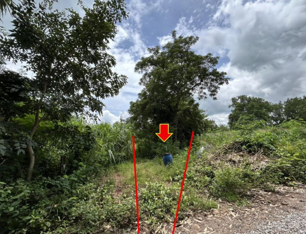 ที่ดินเปล่า นครราชสีมา โนนสูง ขามเฒ่า 120000