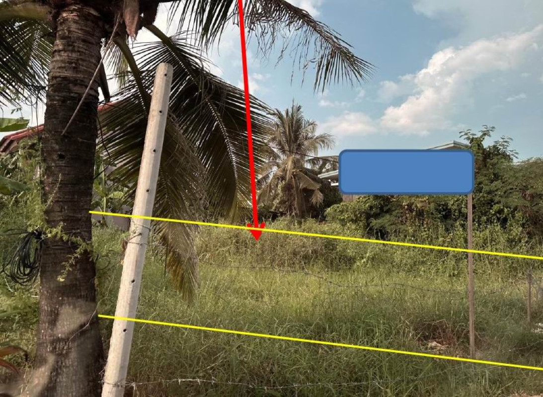 ที่ดินเปล่า นครศรีธรรมราช ปากพนัง หูล่อง 46480