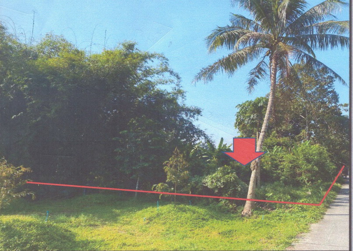 ที่ดินเปล่า นครศรีธรรมราช ฉวาง ไสหร้า 88000