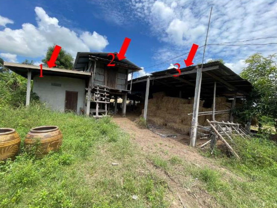 บ้านเดี่ยว สุรินทร์ ท่าตูม โพนครก 101745