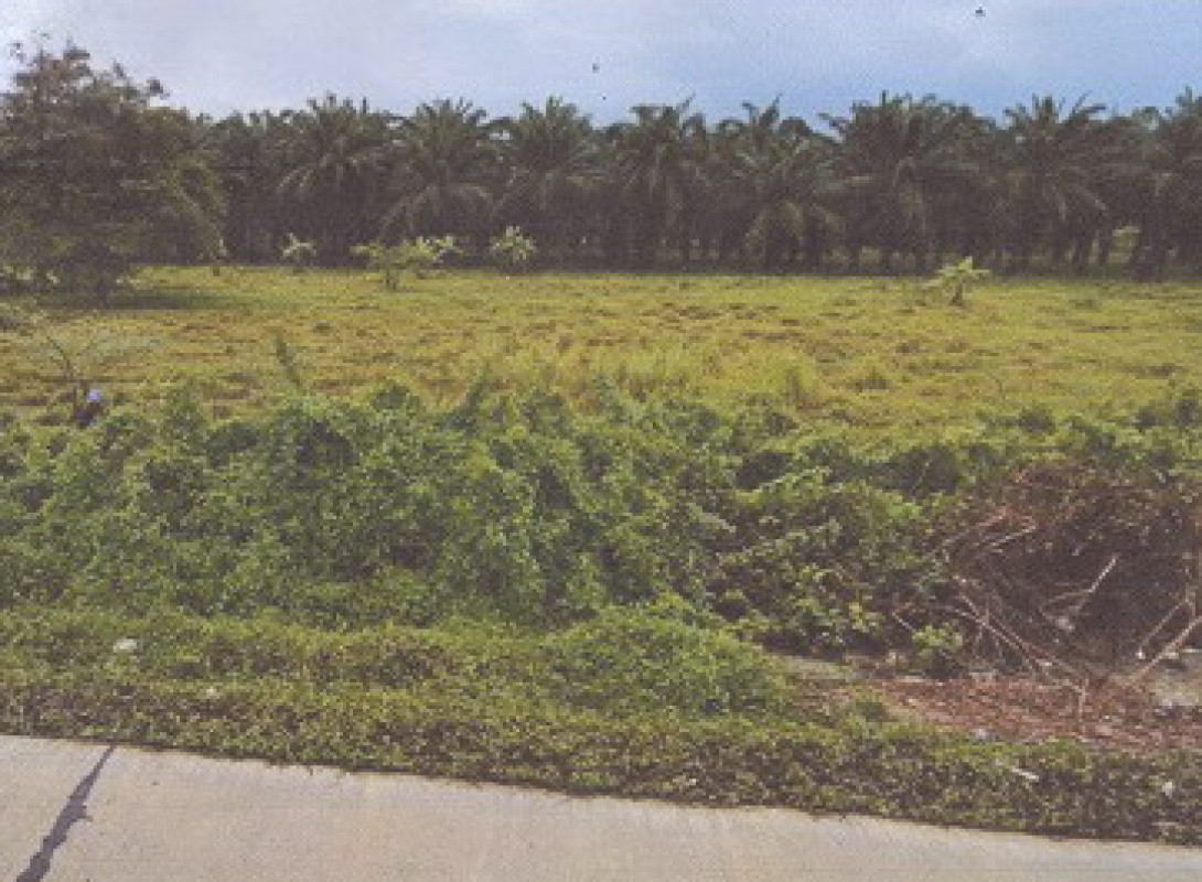 บ้านเดี่ยว นครศรีธรรมราช ร่อนพิบูลย์ ควนพัง 716900