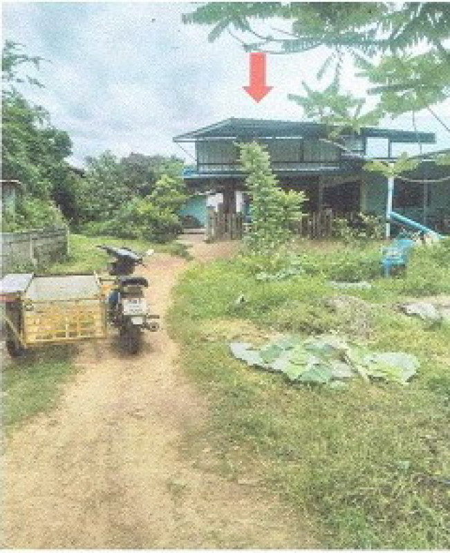 บ้านเดี่ยว สกลนคร เต่างอย เต่างอย 697236