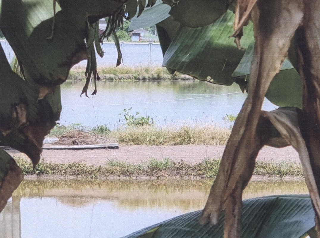 Residential land/lot Samut Prakan Bang Bo Bang Bo 3600000