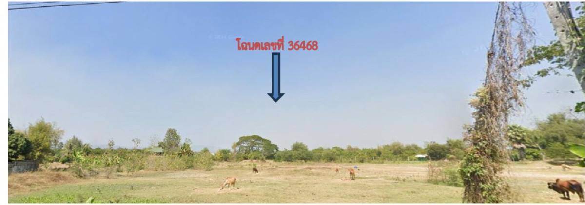 Residential land/lot Chiang Mai Chom Thong Ban Luang 1544600